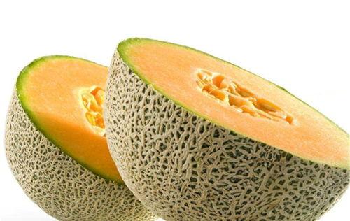 狗吃新疆哈密瓜好吗视频,狗狗美食之旅，美味与健康的完美结合