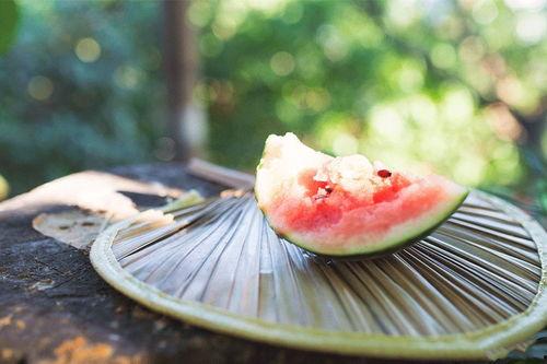 吃瓜入口视频,一场视觉与味蕾的双重盛宴