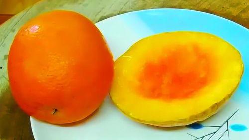 吃瓜神器怎么做视频教学,轻松学会制作“吃瓜神器”教学视频的实用指南