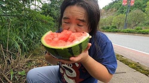 瓜哥带你吃菌子视频,一场味蕾与自然的邂逅