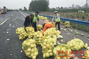 宏宇事件吃瓜群众视频,吃瓜群众视角下的视频揭秘