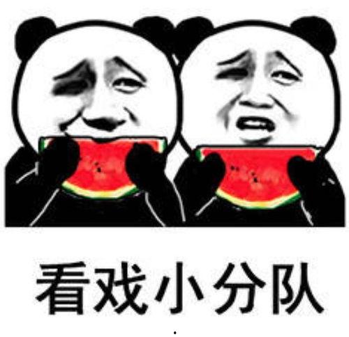 吃瓜视频用的表情包,趣味横生的网络文化现象