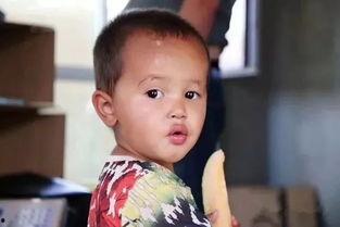 我们静静吃瓜视频大全,揭秘热门视频背后的故事与笑料