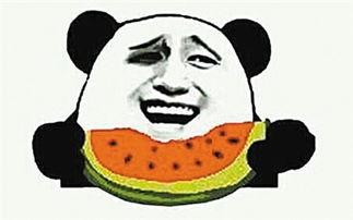 星球动画吃瓜群众视频在线观看,吃瓜群众带你领略精彩瞬间