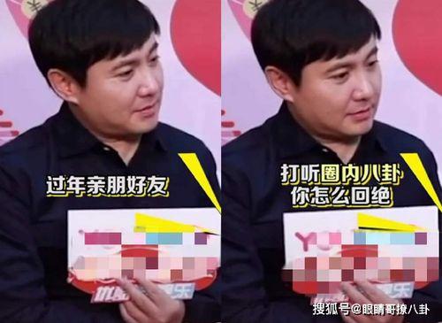 沈腾采访吃瓜视频全集,揭秘娱乐圈幕后故事与趣味瞬间