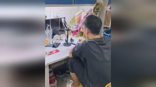 吃瓜现场恋情视频大全集,明星恋情视频大盘点