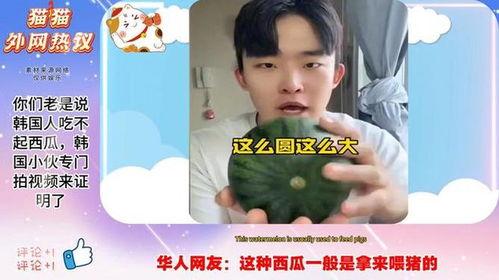 在西瓜视频直播吃瓜,揭秘西瓜视频美食直播新潮流