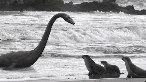 水怪吃瓜视频大全