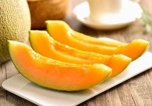 鸭可以吃哈密瓜吗视频教程,揭秘鸭吃哈密瓜的神奇教程